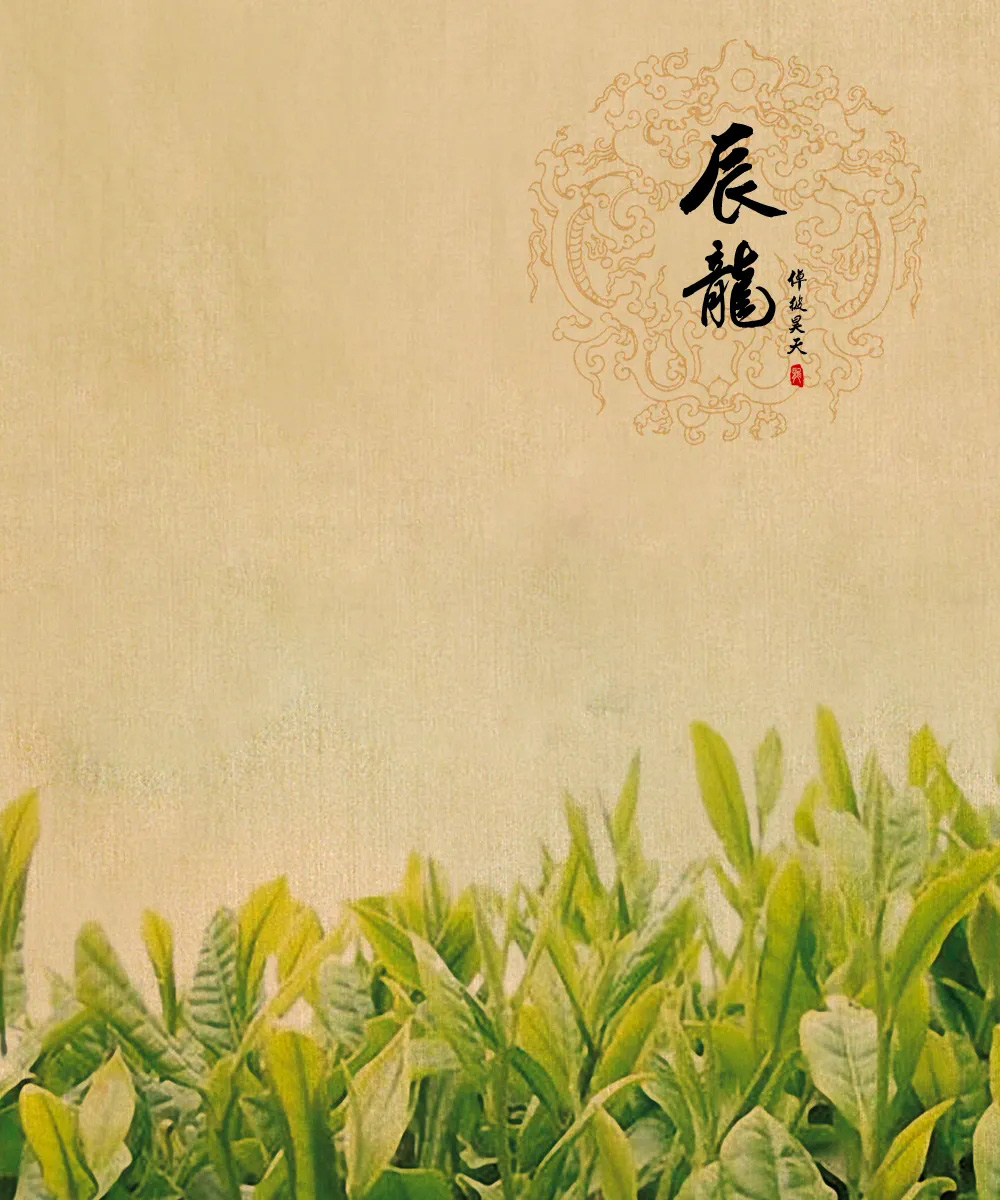 枕上听松语，槛外看潮生。